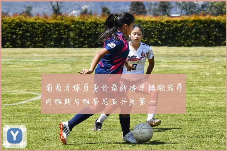 葡萄牙球员身价最新榜单揭晓若昂内维斯与维蒂尼亚并列第一