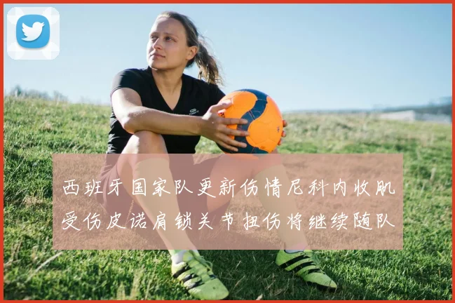 西班牙国家队更新伤情尼科内收肌受伤皮诺肩锁关节扭伤将继续随队训练